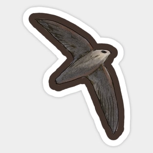 Chimney Swift Sticker